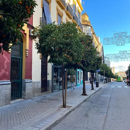 Azonaicas Apartman *