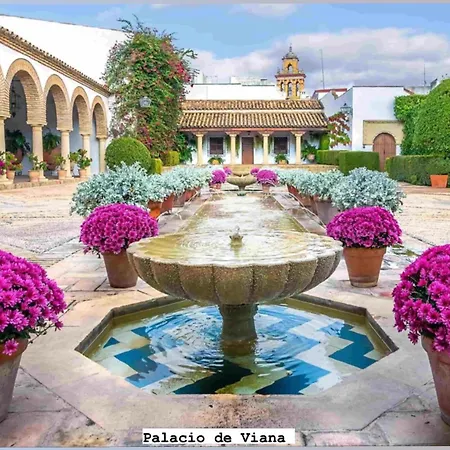 Centro- Azonaicas