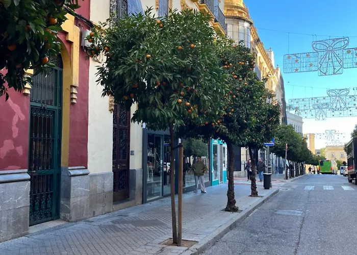 Azonaica Appartamento *